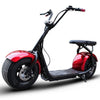Adult Electric Bicycle