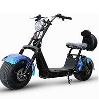 Adult Electric Bicycle