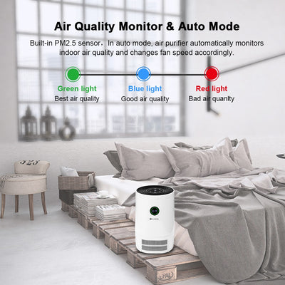 Filter Air Cleaner