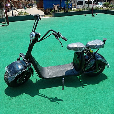 Electric Scooter Motorcycle